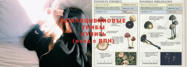 jwh Аркадак