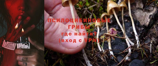 jwh Аркадак