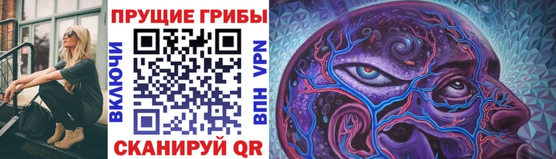 Галлюциногенные грибы ЛСД  Сураж 